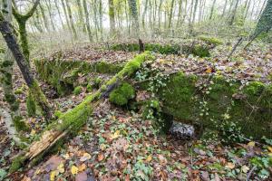 Ligne Maginot - MEDERCHEN NORD 2 - (Blockhaus pour arme infanterie) - 