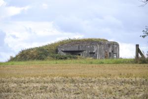 Ligne Maginot - B334 - LA PLAINE NORD - (Blockhaus pour canon) - 