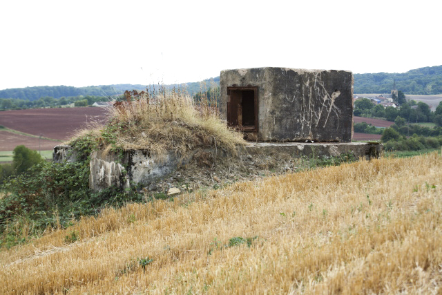 Ligne Maginot - Blockhaus ROTHENBERG 1 et Chambre de coupure 85 M - Le blockhaus, quasiment remblayé.
Une petite chambre de coupure est posée sur sa dalle supérieure pour une raison indéterminée. Il doit s'agir de la chambre de coupure 85 M