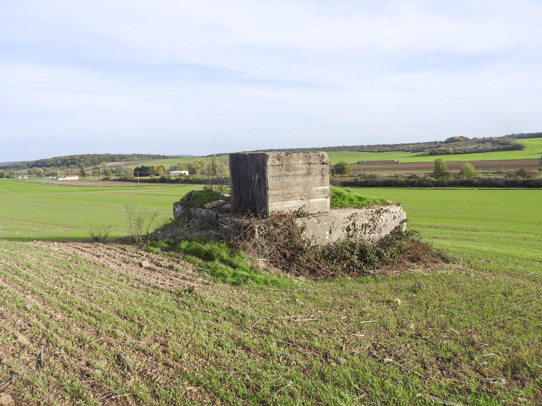 Ligne Maginot - BB227 - ROTHERBERG 01 - (Blockhaus pour arme infanterie) - La vue depuis le nord.