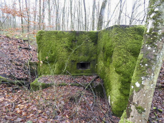 Ligne Maginot - BOIS DES FORTS - (Blockhaus pour arme infanterie) - 