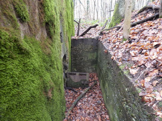 Ligne Maginot - BOIS DES FORTS - (Blockhaus pour arme infanterie) - 