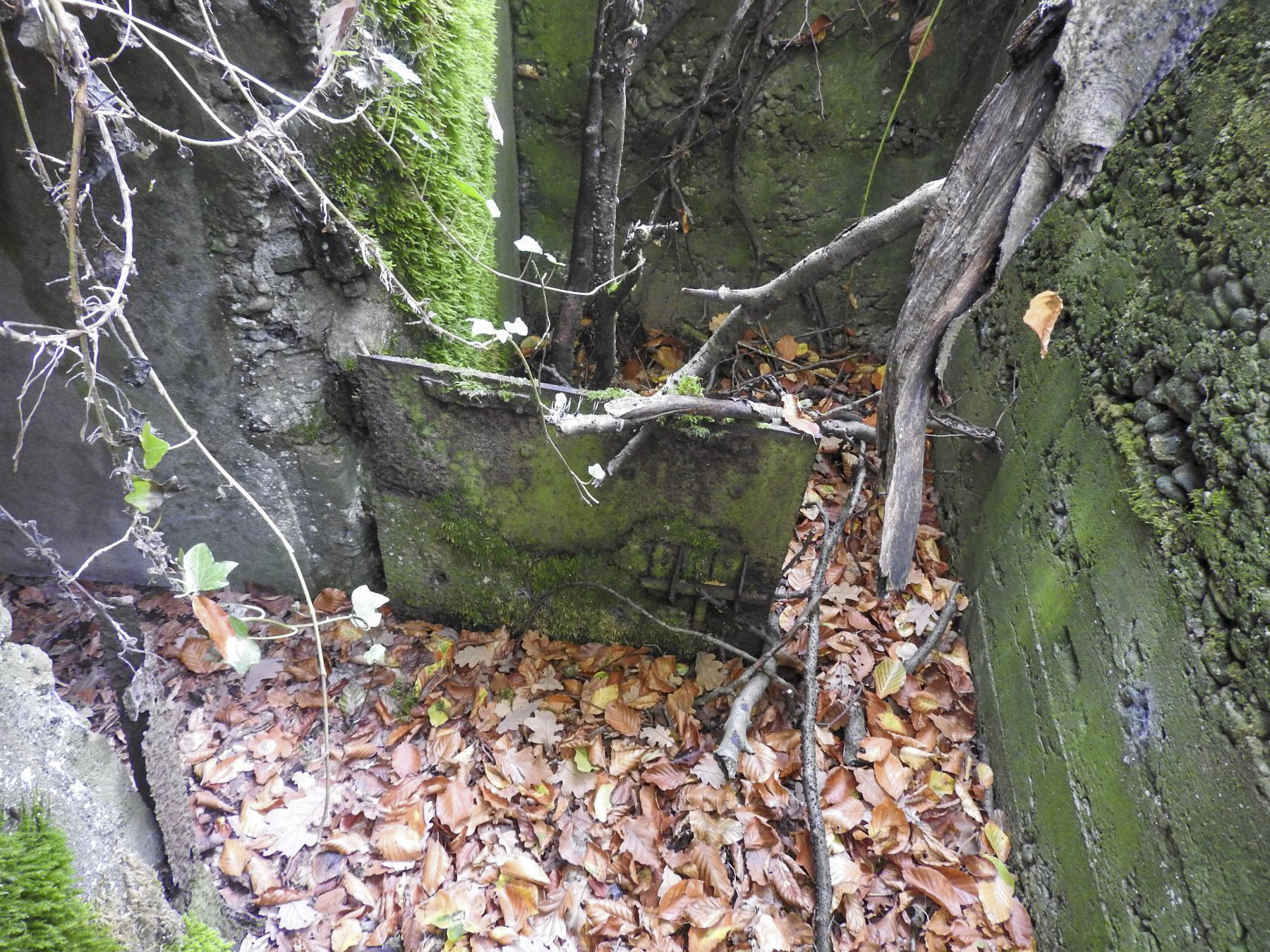 Ligne Maginot - BOIS DES FORTS - (Blockhaus pour arme infanterie) - La partie inférieure du portillon demeure.