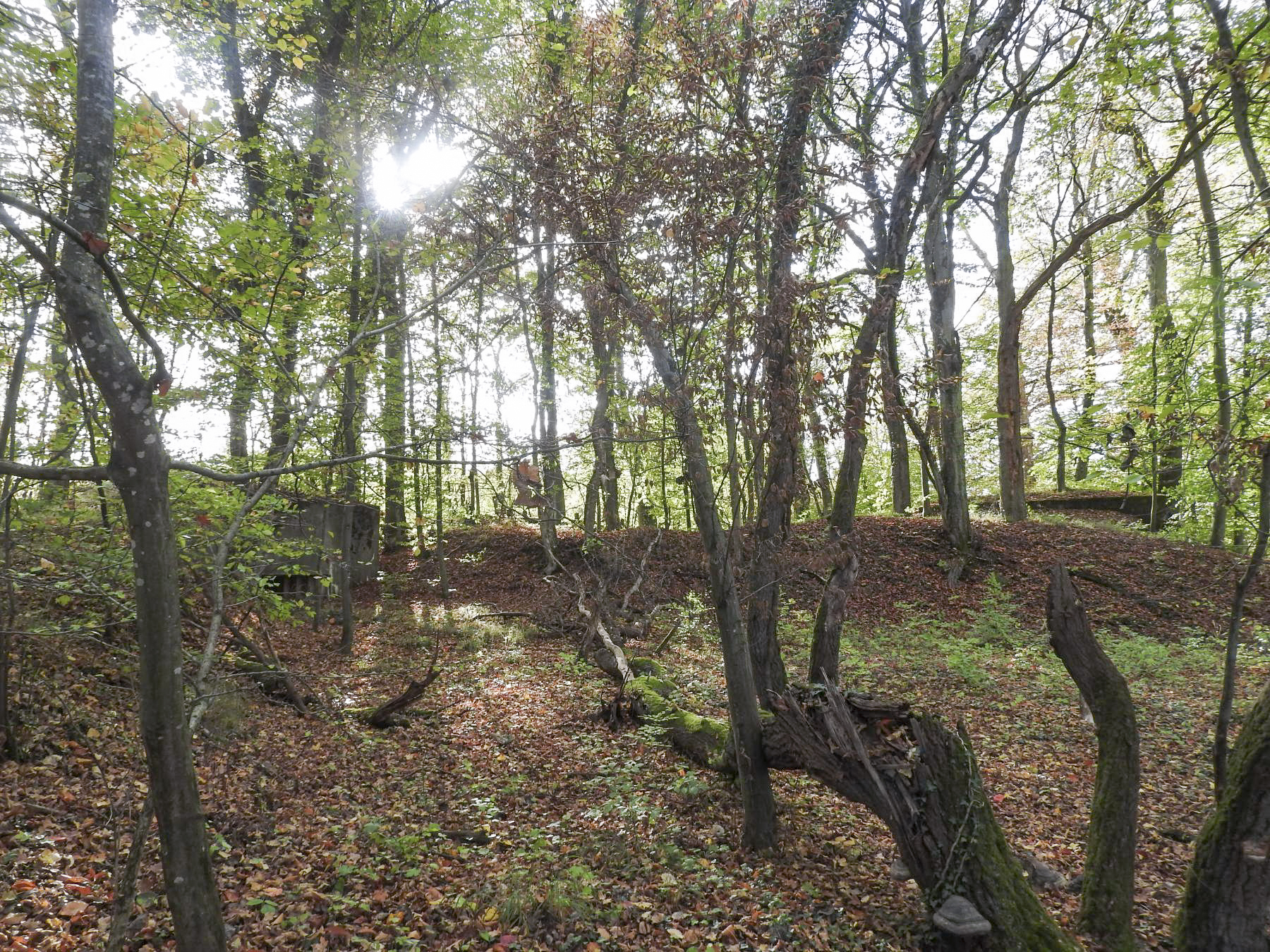 Ligne Maginot - HESTROFF NORD 3 - (Blockhaus pour canon) - Les deux blockhaus du PA.
Le  blockhaus canon à gauche et le blockhaus mitrailleuse à droite.