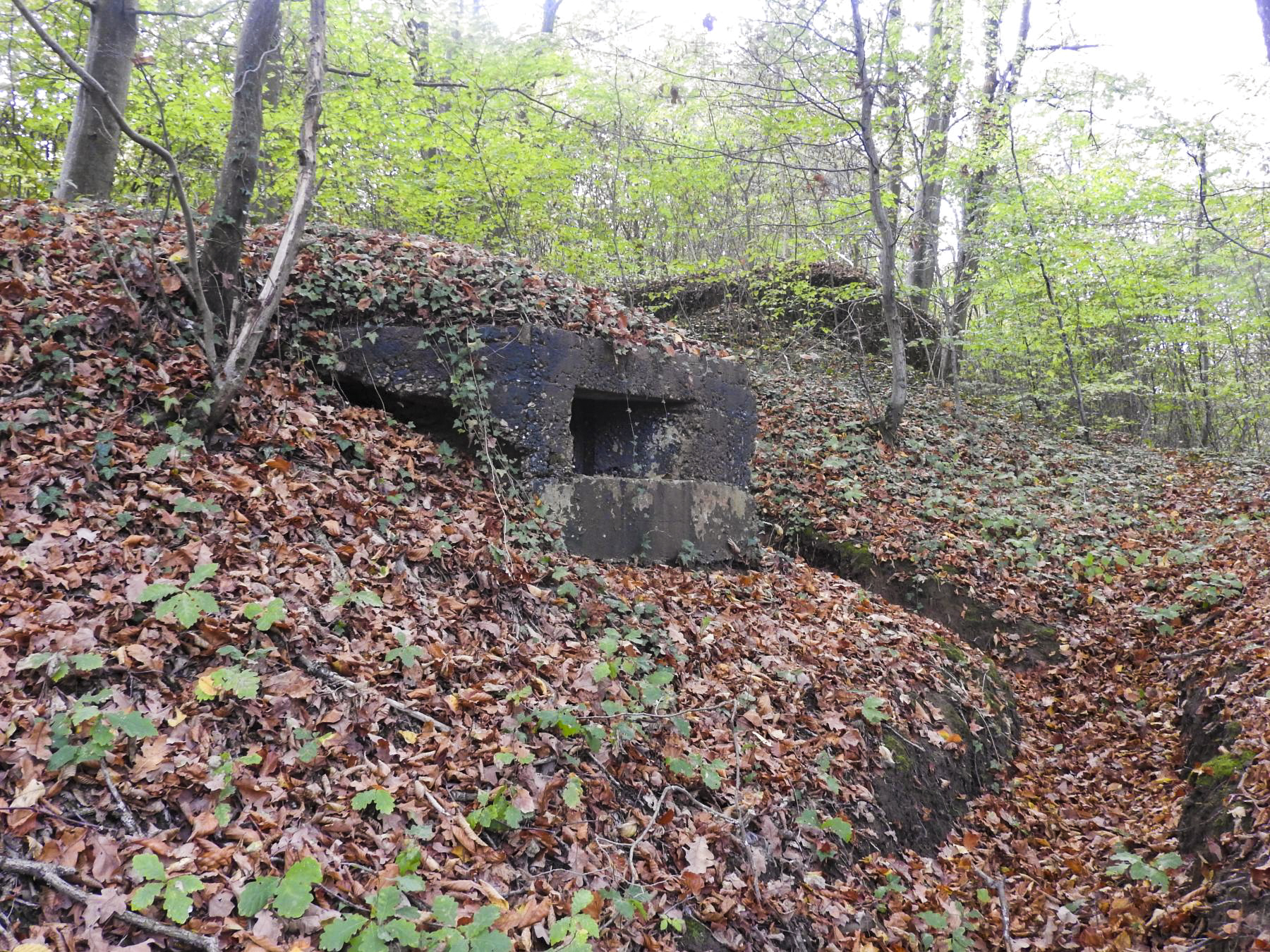 Ligne Maginot - BOUSSE SUD - (Blockhaus pour arme infanterie) - L'embrasure vers la voie ferrée.
On distingue à l'arrière le blockhaus Nord type 1.