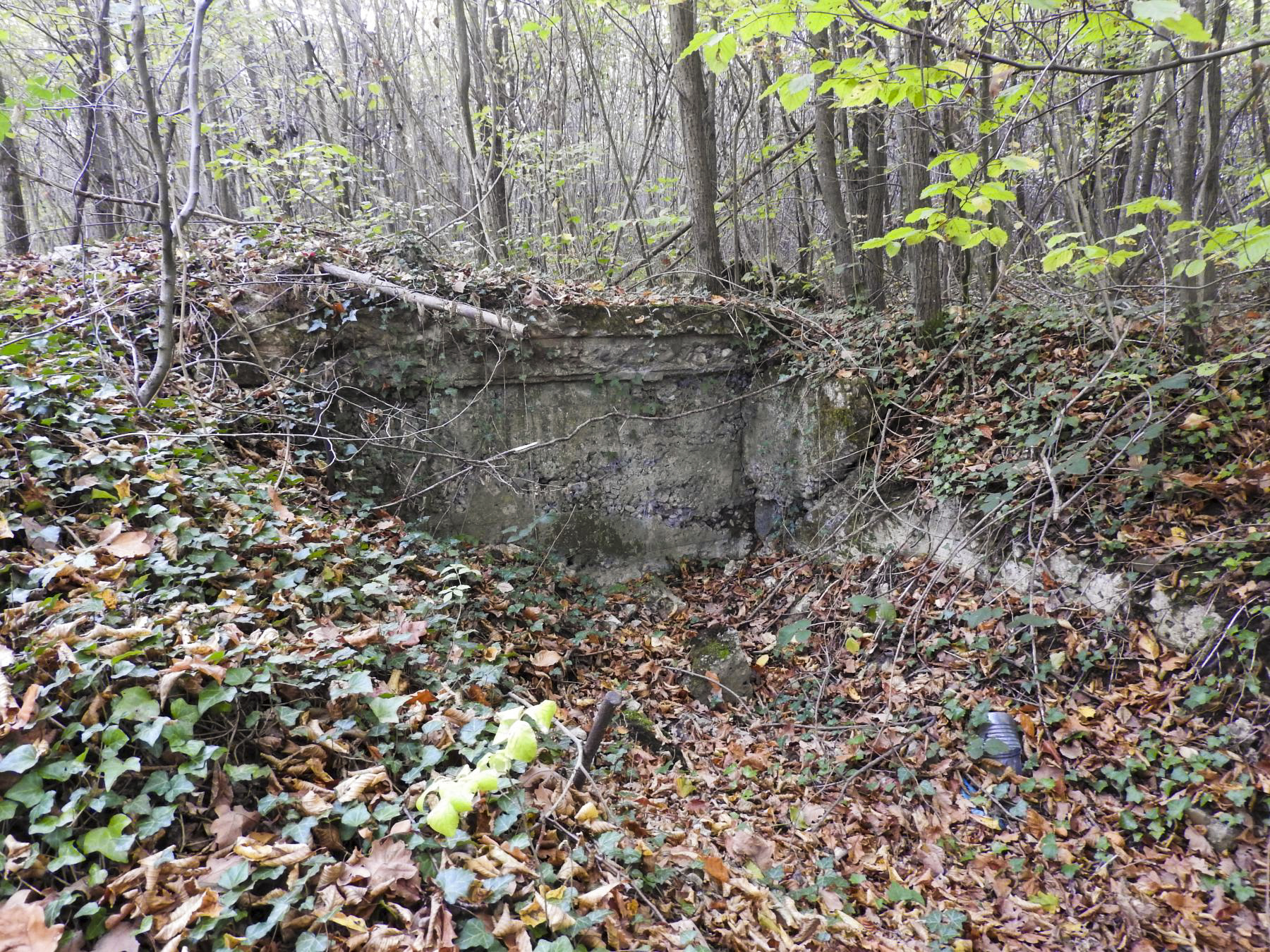 Ligne Maginot - BOUSSE SUD - (Blockhaus pour arme infanterie) - Les restes de l'abri relié.