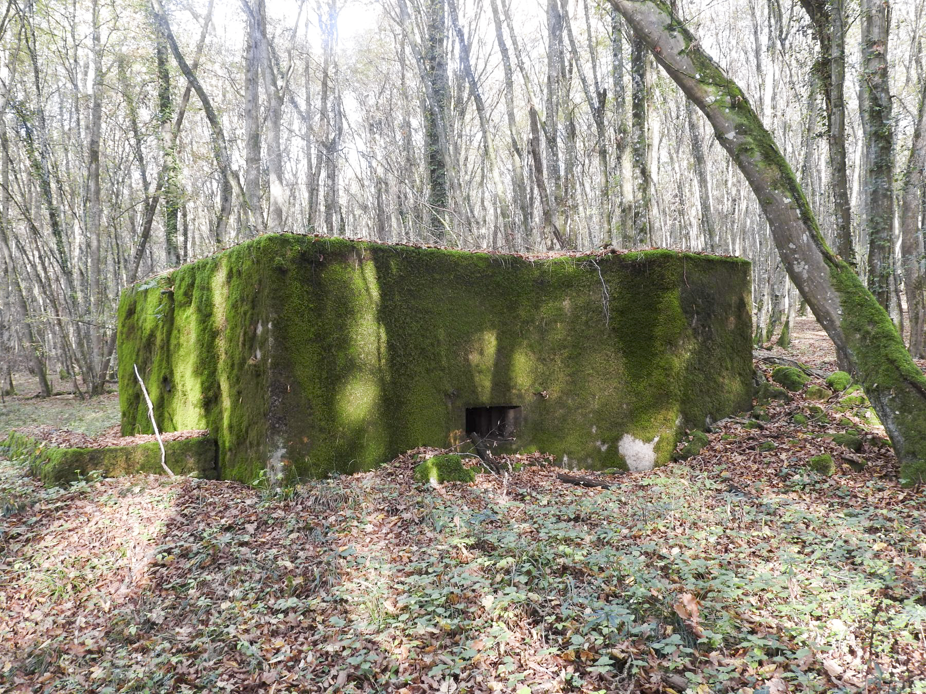 Ligne Maginot - VOR BERG - (Blockhaus pour arme infanterie) - La façade de tir.