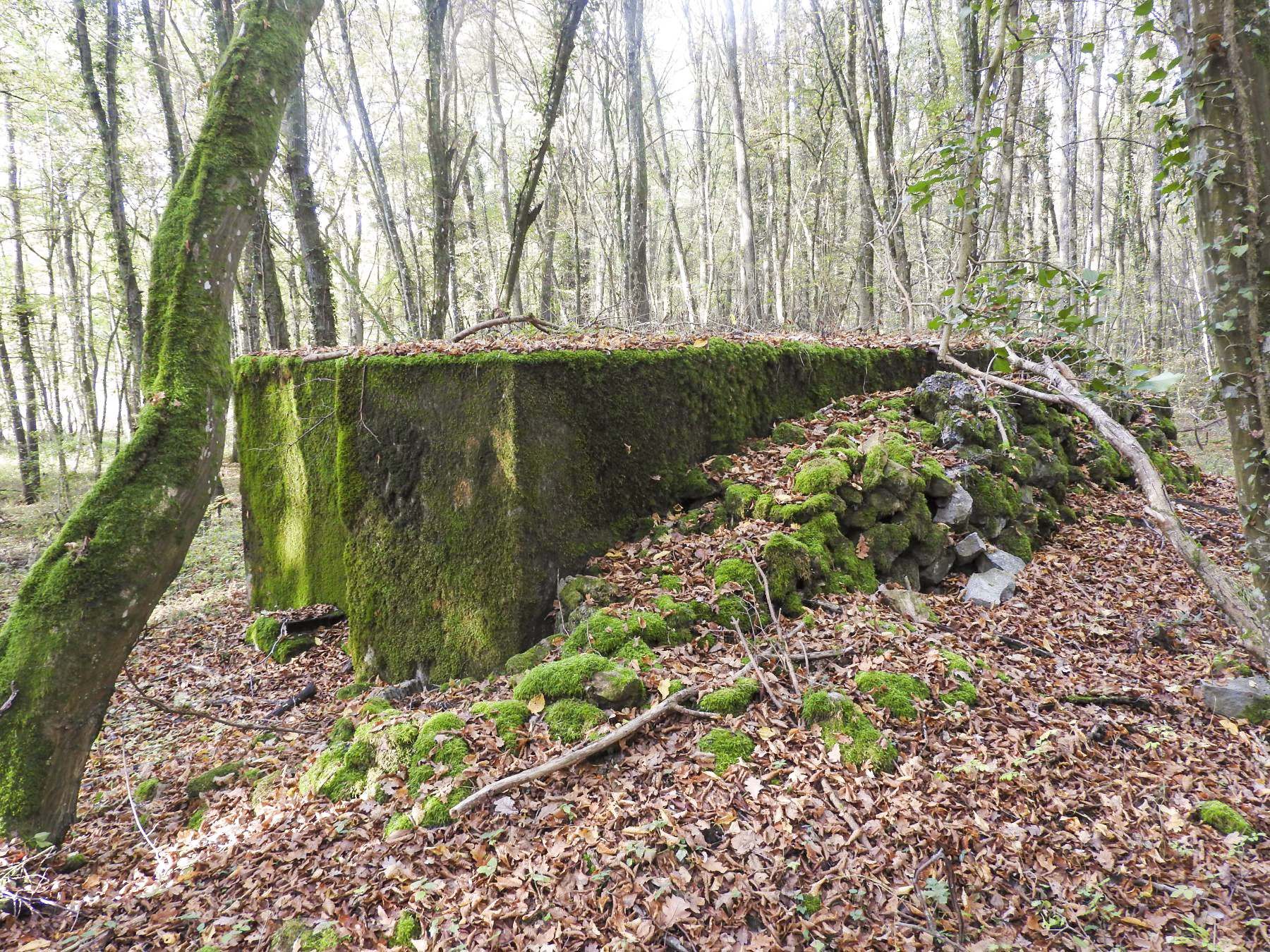 Ligne Maginot - VOR BERG - (Blockhaus pour arme infanterie) - La façade nord avec son rocaillage.