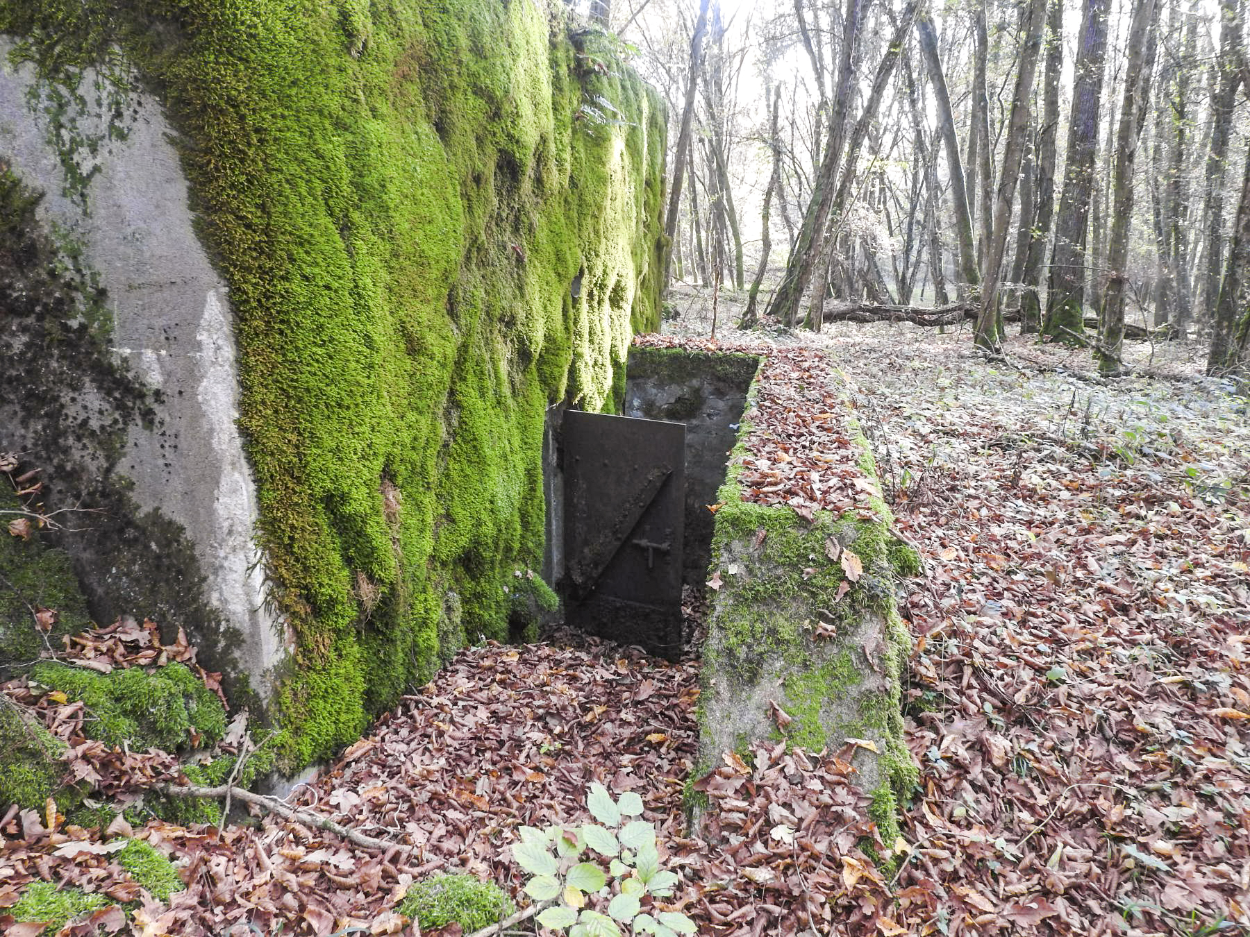 Ligne Maginot - VOR BERG - (Blockhaus pour arme infanterie) - L'entrée du blockhaus.