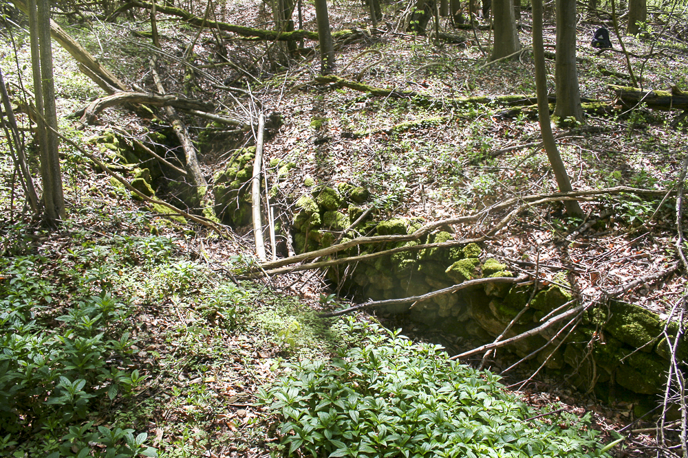 Ligne Maginot - CO0 - BOIS D'ESCHERANGE - (Observatoire d'infanterie) - Tranchée d'accès à l'observatoire