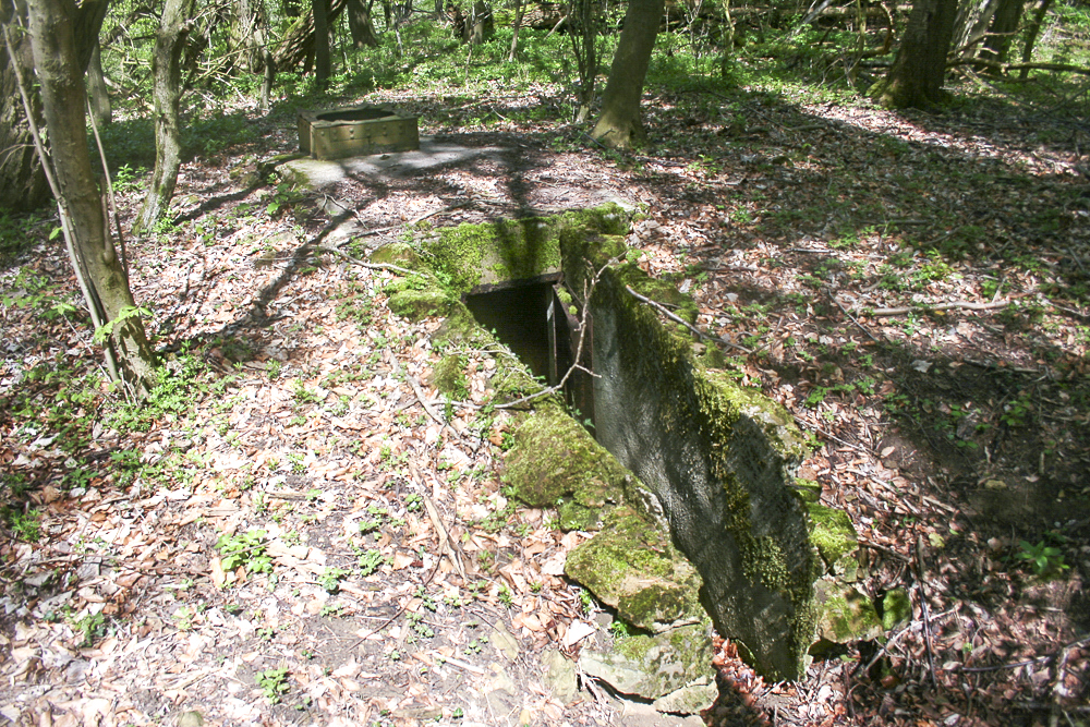 Ligne Maginot - CO0 - BOIS D'ESCHERANGE - (Observatoire d'infanterie) - 