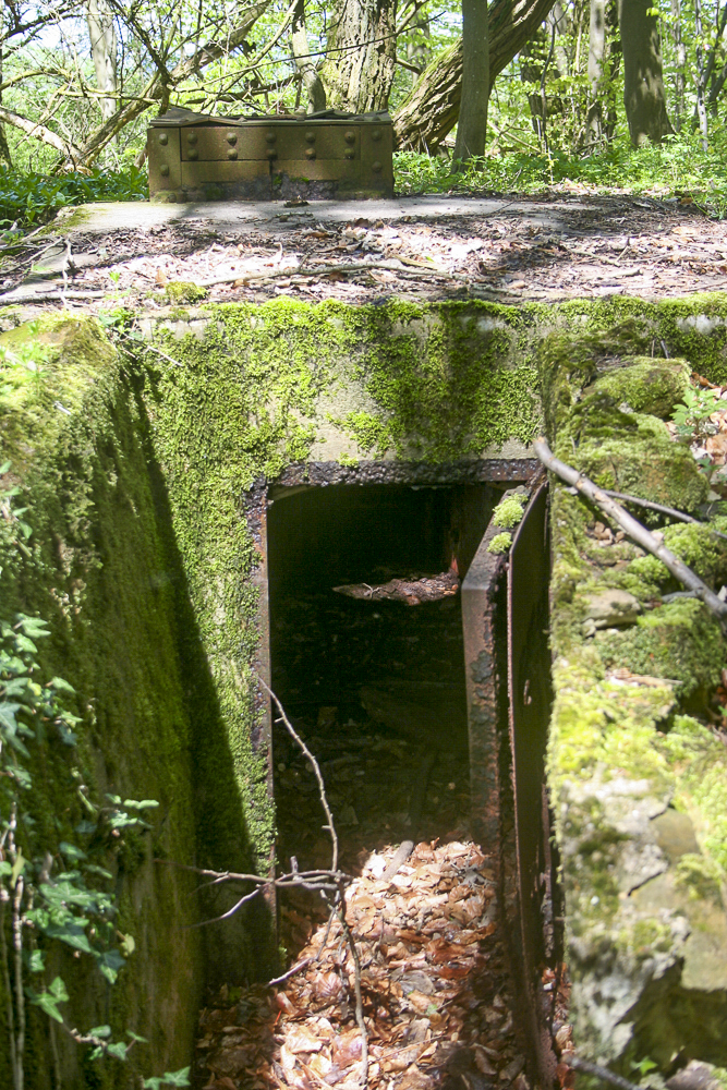 Ligne Maginot - CO0 - BOIS D'ESCHERANGE - (Observatoire d'infanterie) - 