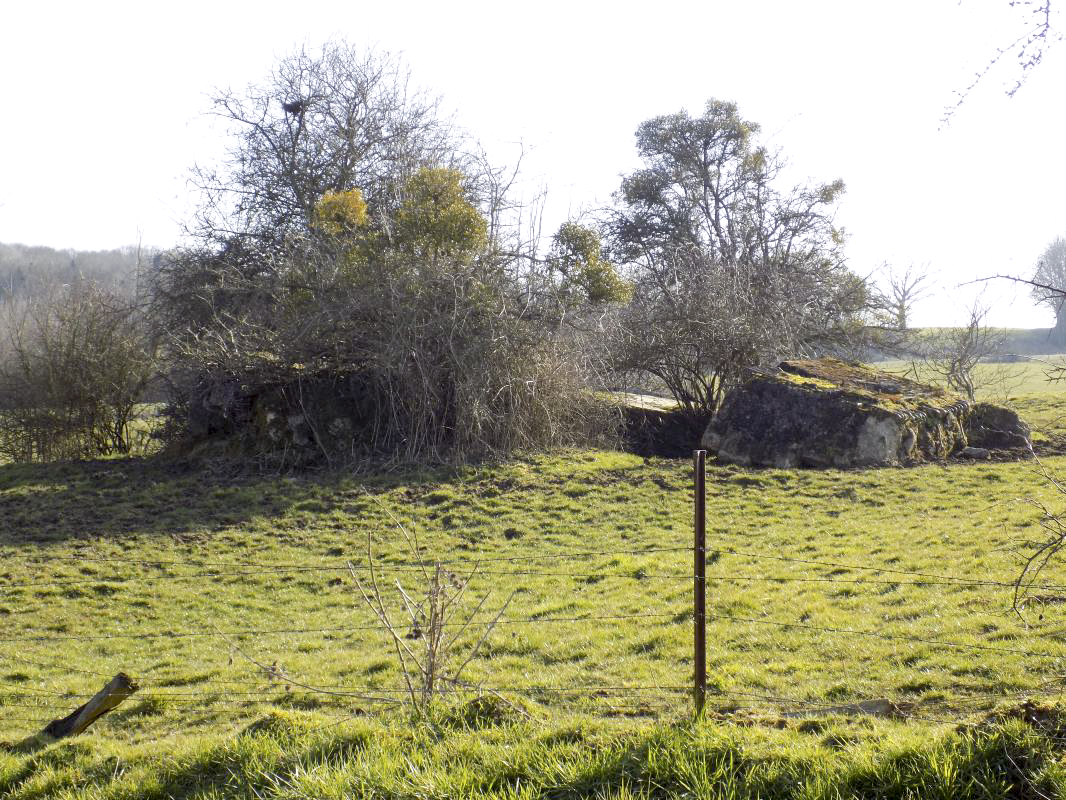 Ligne Maginot - 31BIS - LA CHAUSSEE NORD - (Blockhaus pour canon) - Détruit!