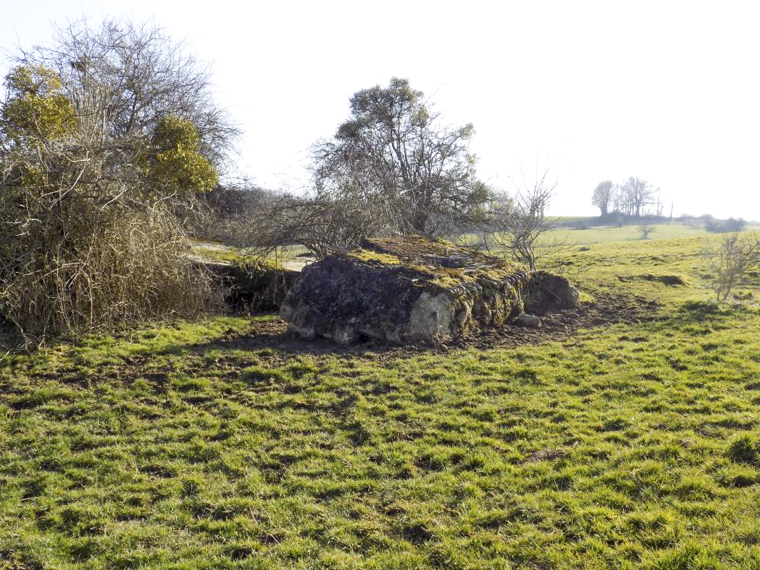 Ligne Maginot - 31BIS - LA CHAUSSEE NORD - (Blockhaus pour canon) - 