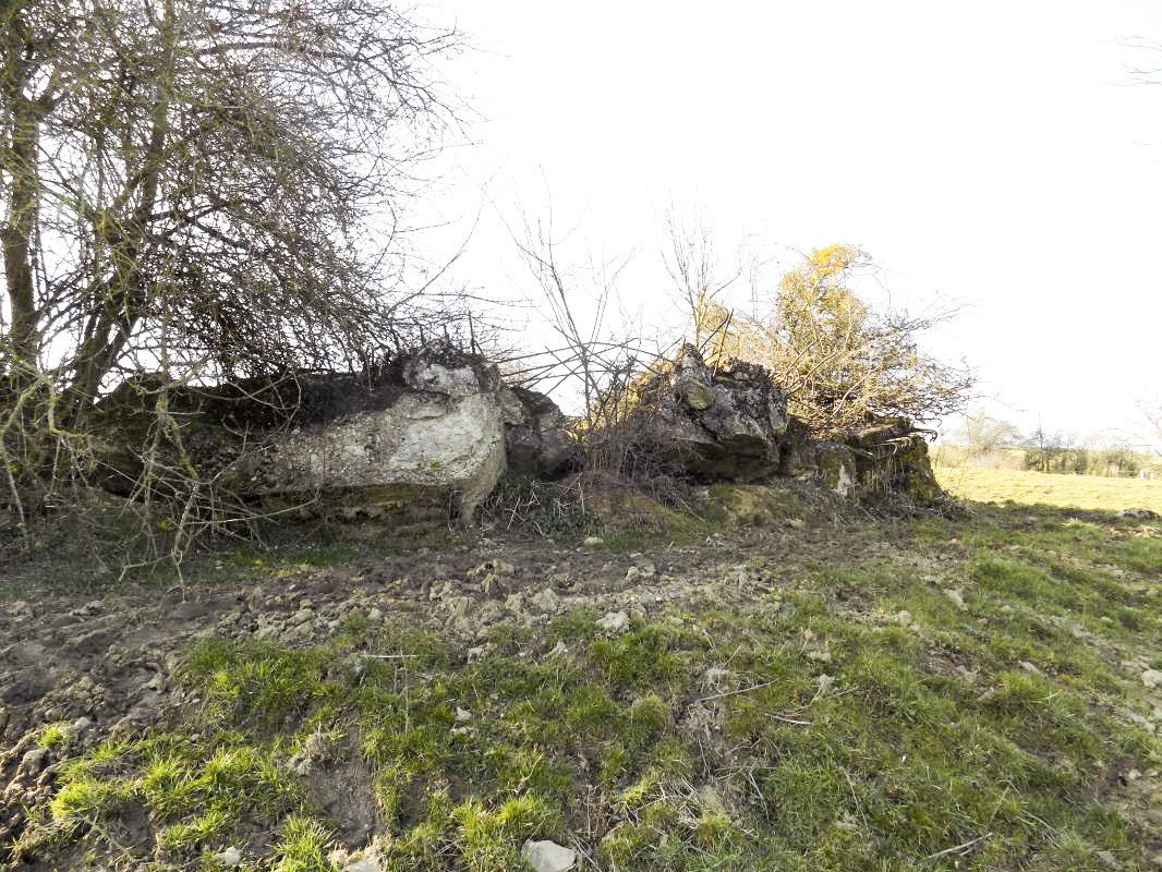 Ligne Maginot - 31BIS - LA CHAUSSEE NORD - (Blockhaus pour canon) - 