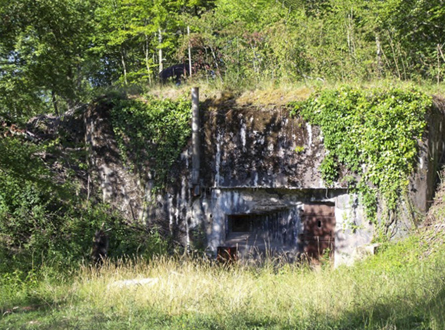 Ligne Maginot - KREKELBUSCH - X15 - (Abri) - Coffre d'entrée Sud