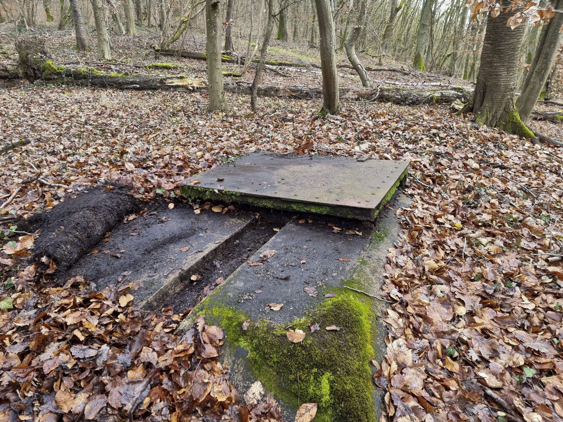 Ligne Maginot - 82M - (Chambre de coupure) - Vue globale de la chambre de coupure dégagée