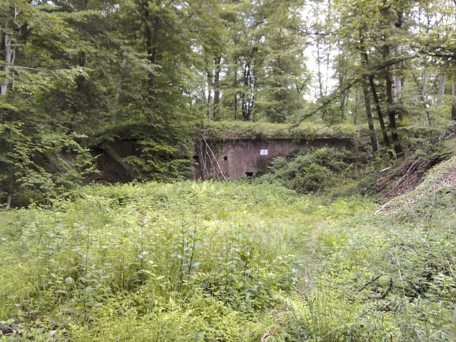 Ligne Maginot - BICHEL NORD - X18 - (Abri) - 