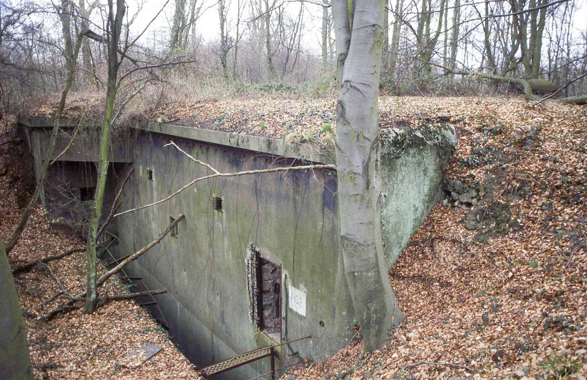 Ligne Maginot - BICHEL NORD - X18 - (Abri) - 