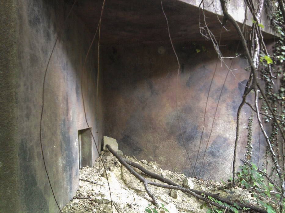 Ligne Maginot - BICHEL NORD - X18 - (Abri) - On aperçoit encore la peinture de camouflage.