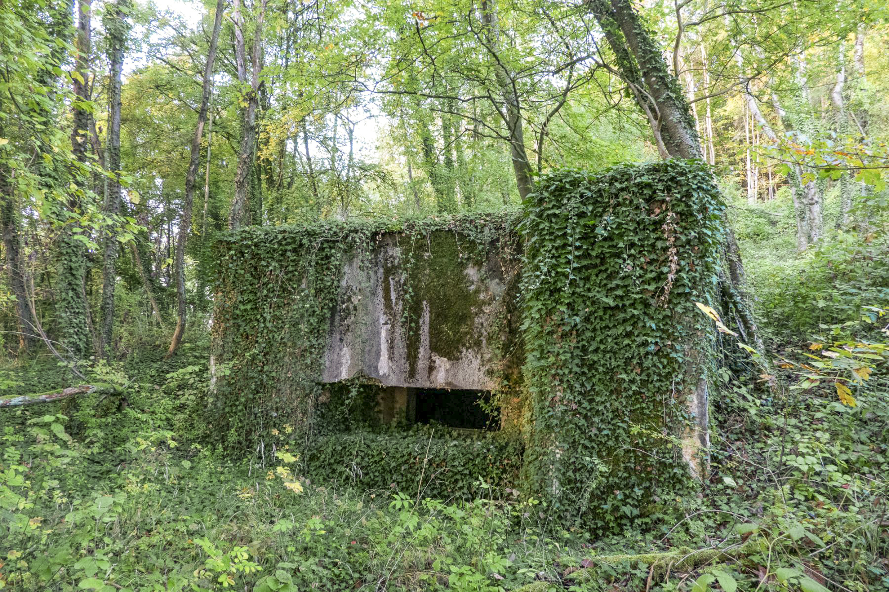 Ligne Maginot - BB365 - EICHEN 2 - (Blockhaus pour canon) - 