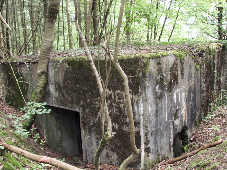 Ligne Maginot - BB365 - EICHEN 2 - (Blockhaus pour canon) - L'entrée pour la pièce se trouve sur la gauche, celle du personnel à droite du bloc