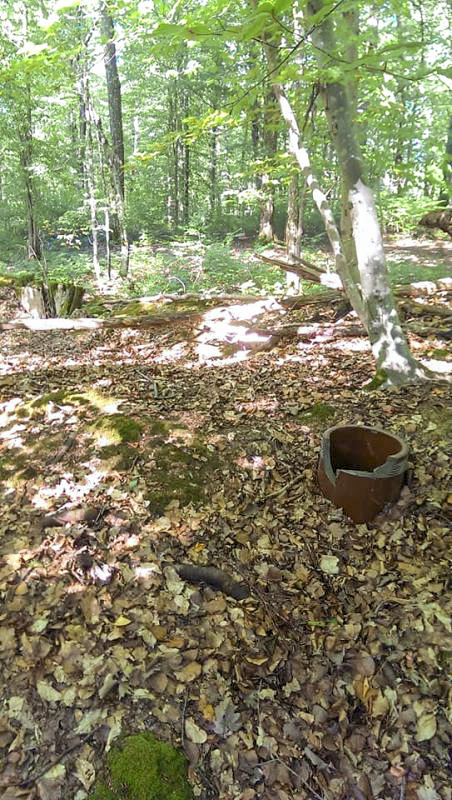 Ligne Maginot - PFAFFENKLAUSERBUSCH - (Abri) - Cheminée de l'abri