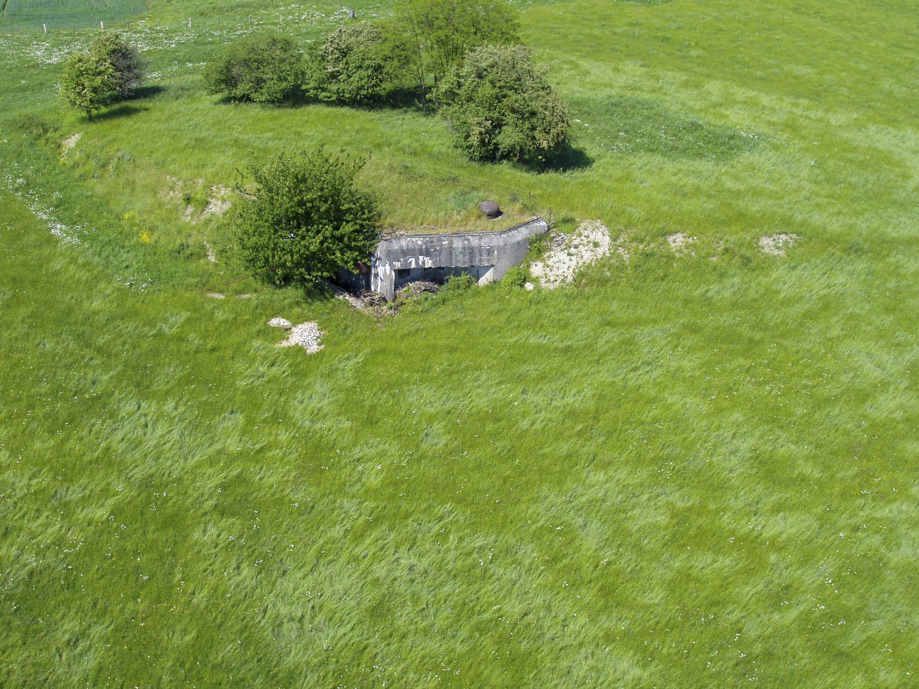 Ligne Maginot - BISTERBERG NORD II - C66 - (Casemate d'infanterie - Simple) - Vue générale de la casemate