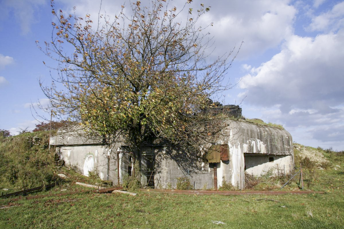 Ligne Maginot - BISTERBERG NORD II - C66 - (Casemate d'infanterie - Simple) - Vue d'ensemble