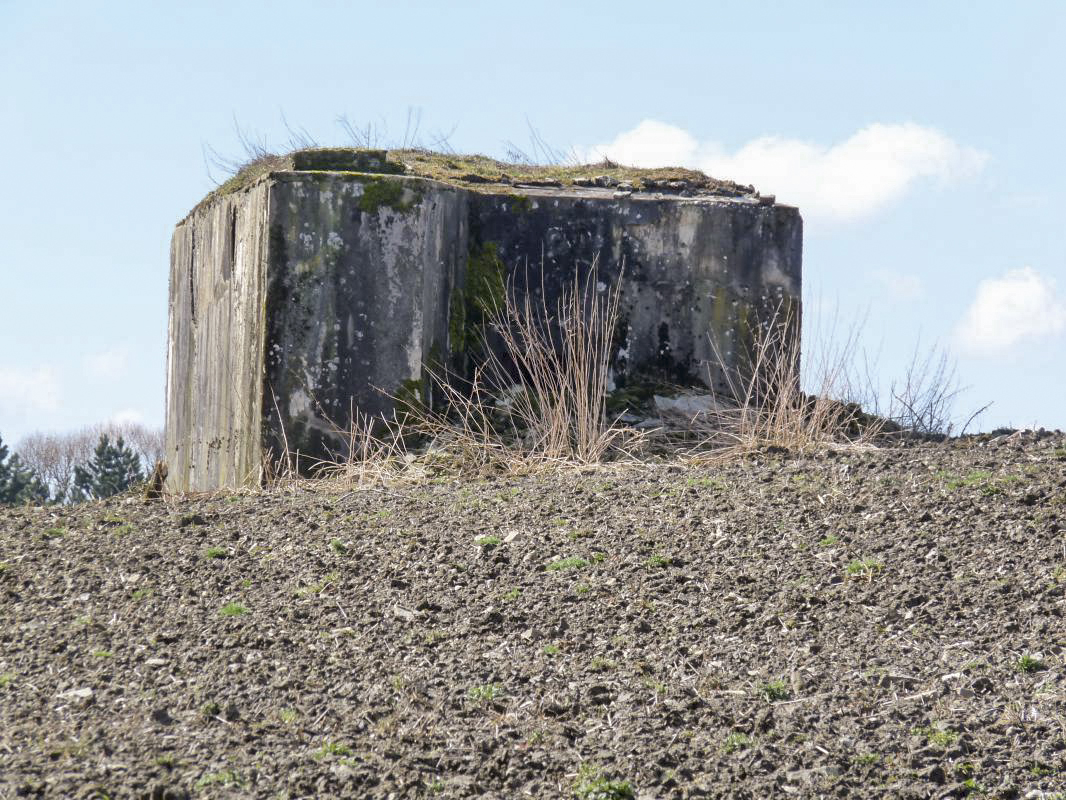 Ligne Maginot - AB350 - ROSSELN - (Blockhaus pour arme infanterie) - Le blockhaus de loin.