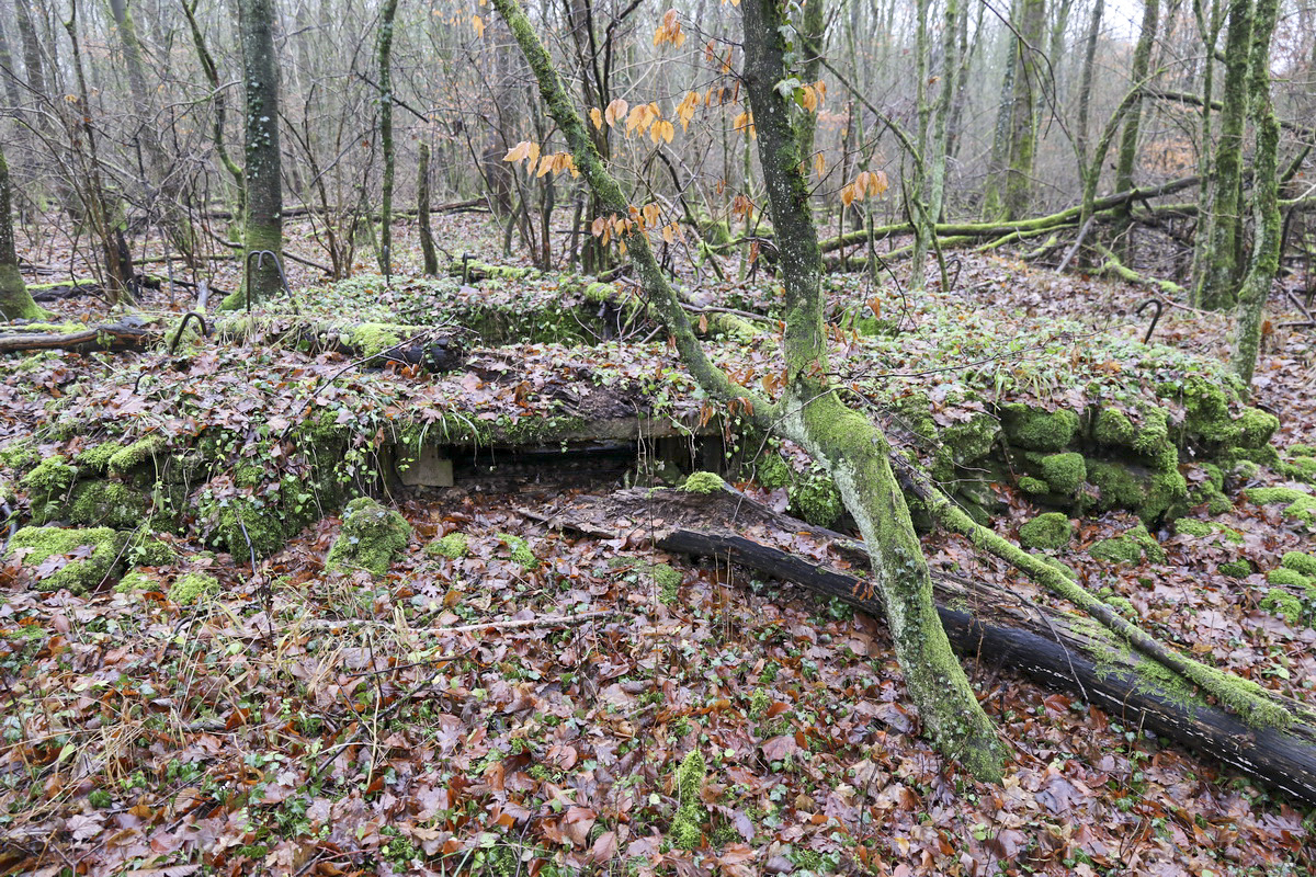 Ligne Maginot - MEDERCHEN NORD 2 - (Blockhaus pour arme infanterie) - Le créneau