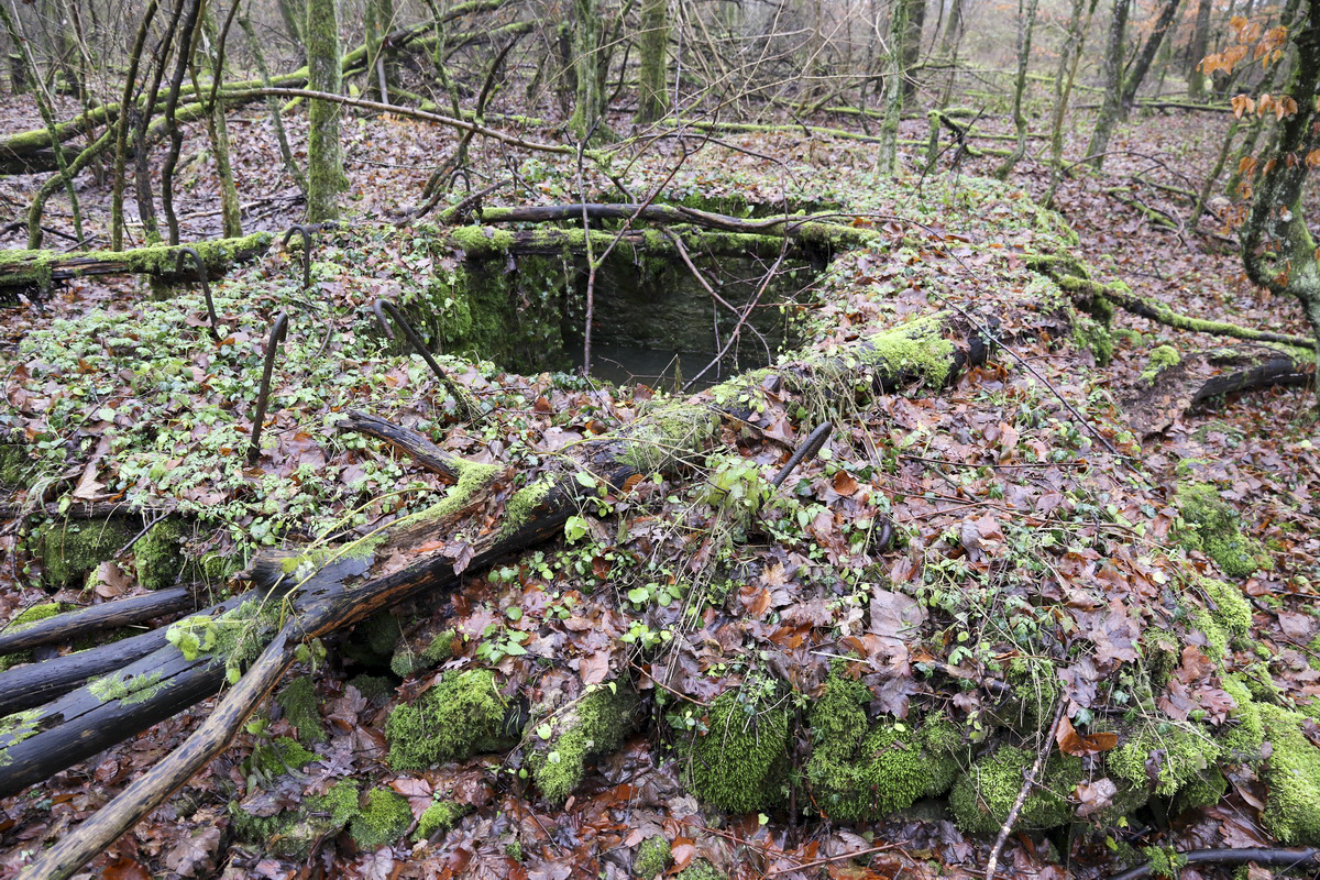 Ligne Maginot - MEDERCHEN NORD 2 - (Blockhaus pour arme infanterie) - 