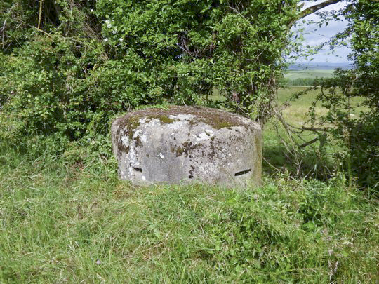 Ligne Maginot - Bb22-C - MUEHLENWEG Ouest (Observatoire d'infanterie) - 