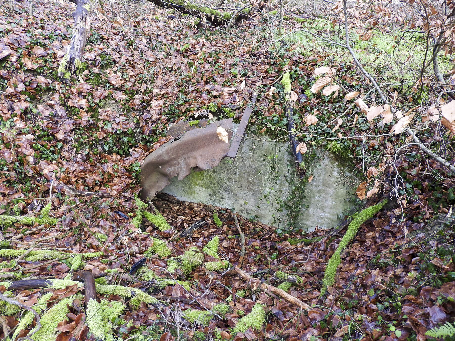 Ligne Maginot - BB21-E - GRESSES WALD - (PC) - Les restes d'une alvéole.