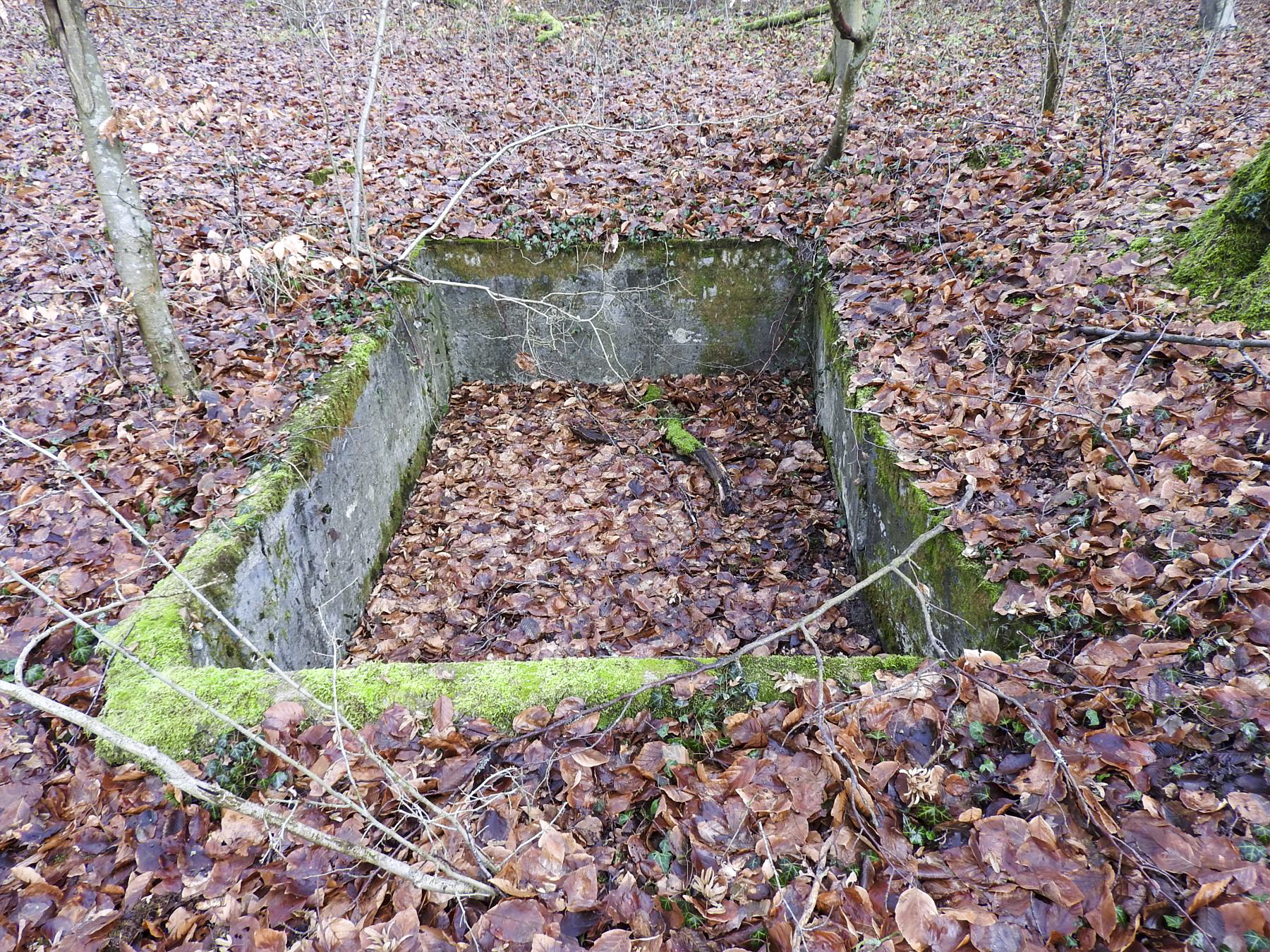 Ligne Maginot - BB21-E - GRESSES WALD - (PC) - Une cuve en béton à proximité.