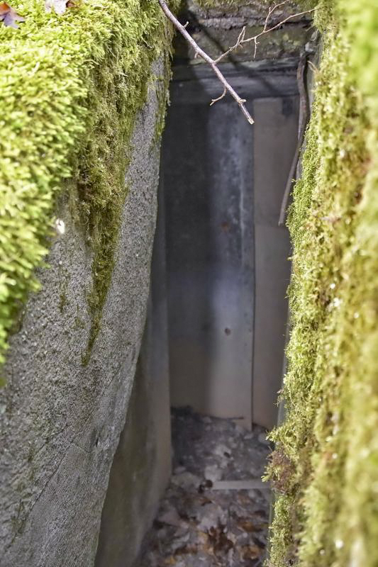 Ligne Maginot - CB434A - BOIS DE CATTENOM 08 - (Observatoire d'infanterie) - Observatoire construit à partir d'un 'escargot' allemand d'avant la première guerre mondiale