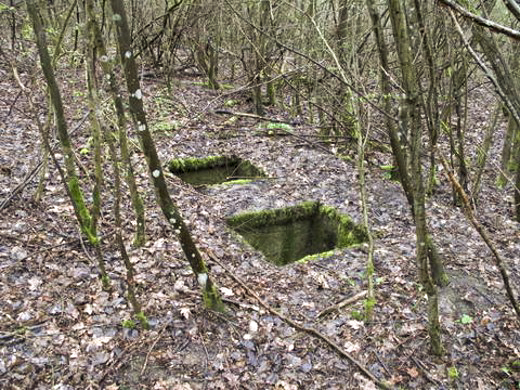 Ligne Maginot - O44 - WEIHERGRABEN - (Observatoire d'artillerie) - 