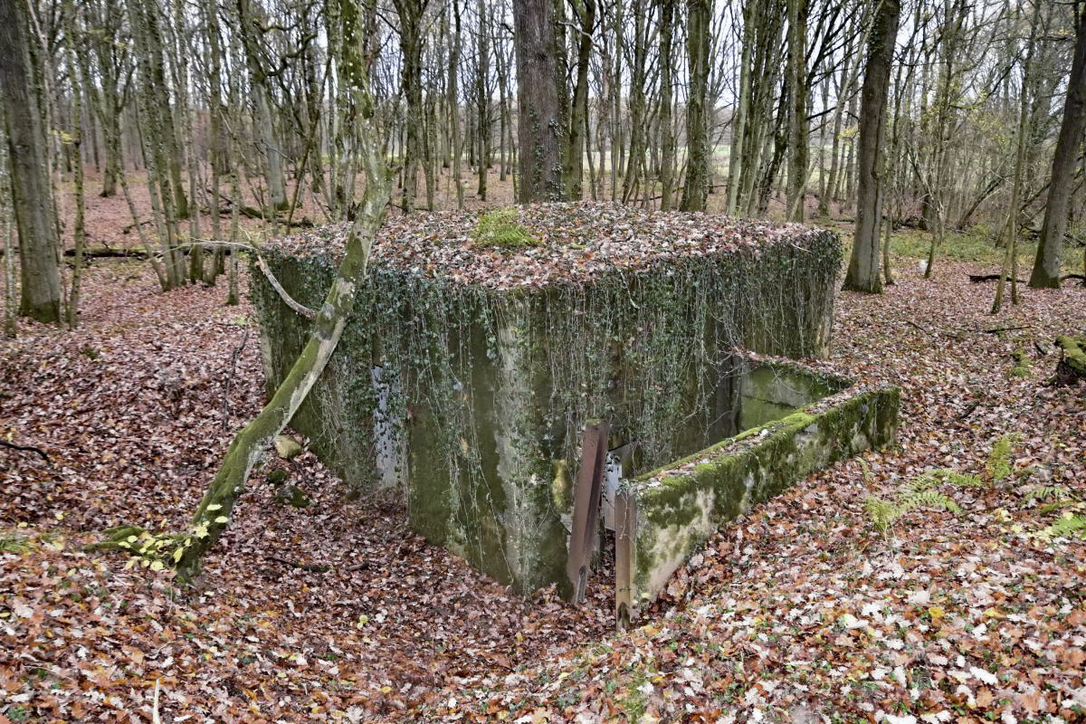 Ligne Maginot - CB118-C - OBERHEIDE 02 - (Blockhaus pour canon) - Vue d'ensemble sur la façade de l'entrée.