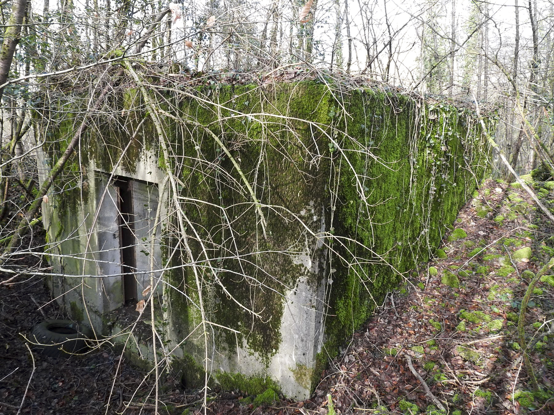 Ligne Maginot - AB32-C - LANDERT NORD - (Blockhaus pour canon) - L'entrée arrière du canon.