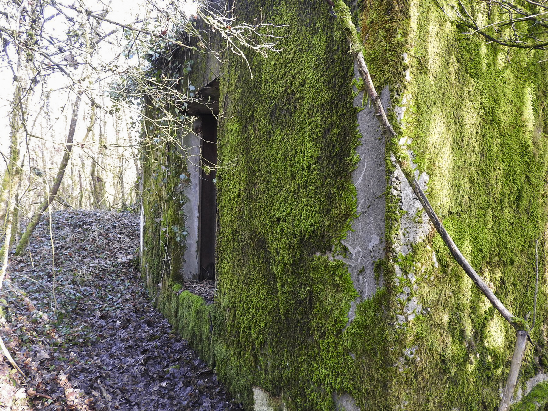 Ligne Maginot - AB32-D - LANDERT SUD - (Blockhaus pour canon) - L'entrée du matériel