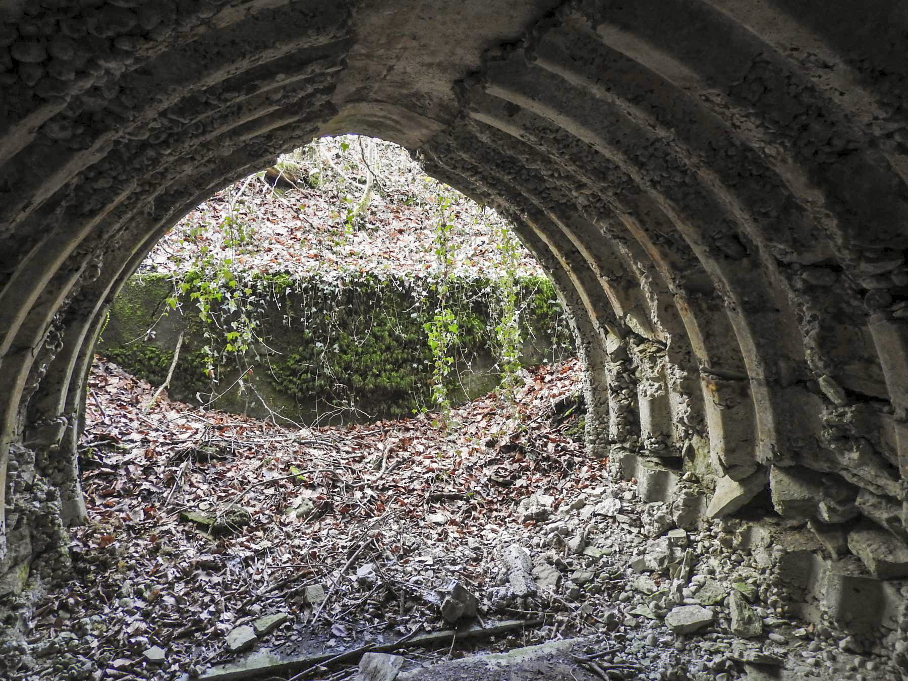 Ligne Maginot - AB32 - BOIS DE COUME 1 - (PC) - La deuxième alvéole; le mur de soutènement à l'arrière.