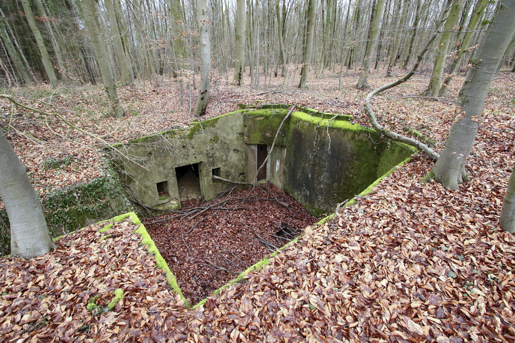 Ligne Maginot - SCHIDELBERG (QUARTIER TéTERCHEN - II/161° RIF) - (PC de Quartier) - Vue d'ensemble du PC