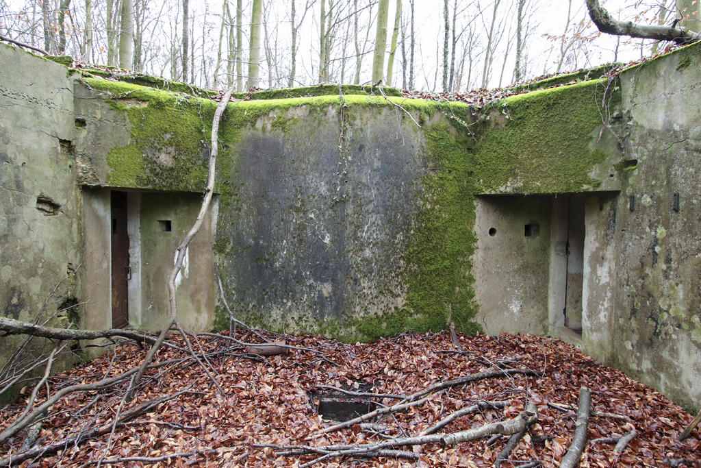 Ligne Maginot - SCHIDELBERG (QUARTIER TéTERCHEN - II/161° RIF) - (PC de Quartier) - Le PC et ses deux entrées