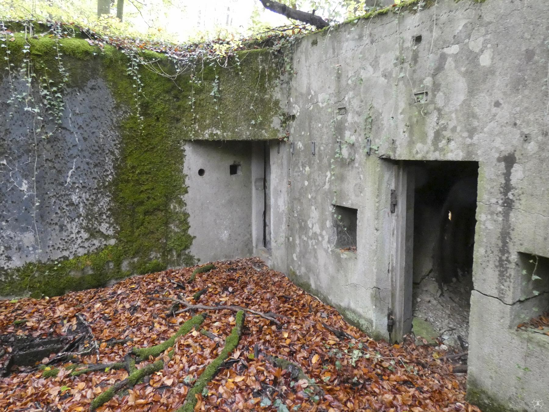 Ligne Maginot - SCHIDELBERG (QUARTIER TéTERCHEN - II/161° RIF) - (PC de Quartier) - Abri tôle métro et entrée droite du PC