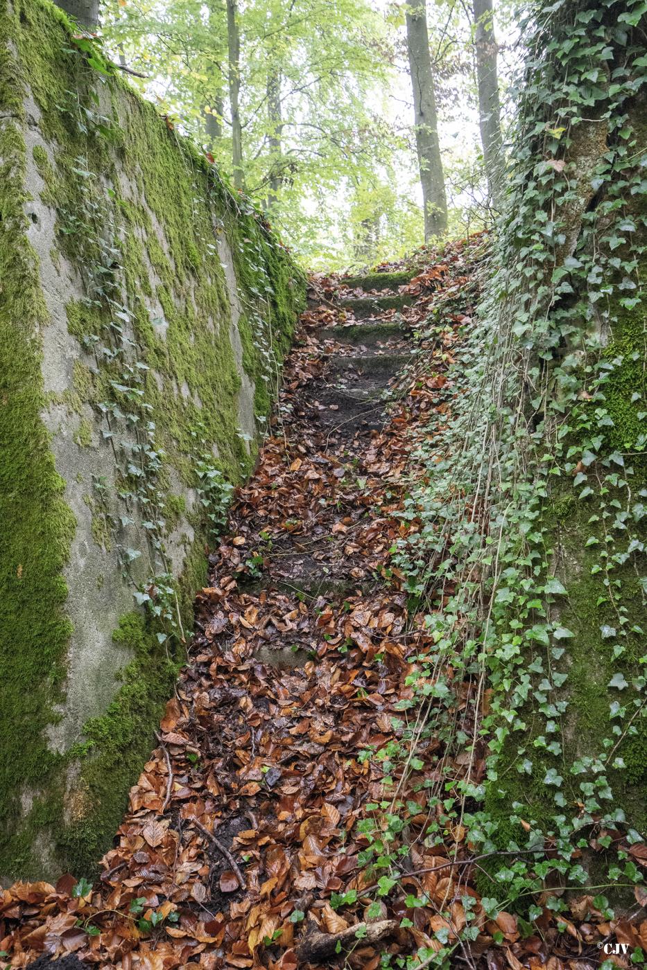 Ligne Maginot - SCHIDELBERG (QUARTIER TéTERCHEN - II/161° RIF) - (PC de Quartier) - L'escalier donnant accès à la courette