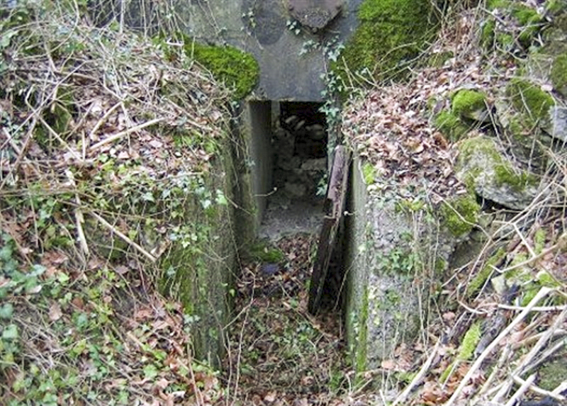 Ligne Maginot - Ab38bis - BOIS de LAUDREFANG 5 (Blockhaus pour canon) - 