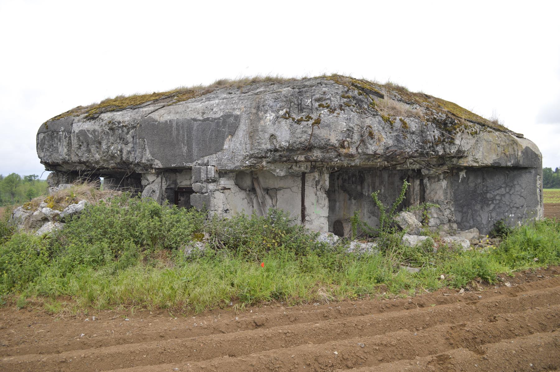 Ligne Maginot - B545 - SAINT WAAST LA VALLEE - (Blockhaus pour canon) - 