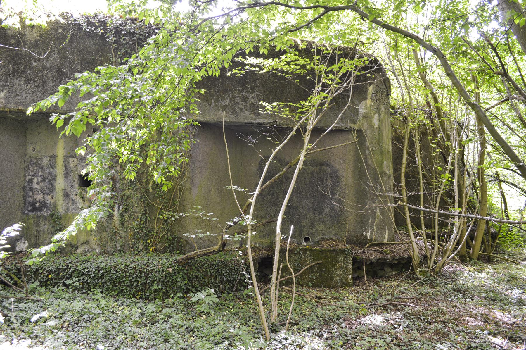 Ligne Maginot - ELESMES - (Blockhaus lourd type STG / STG-FCR - Double) - 