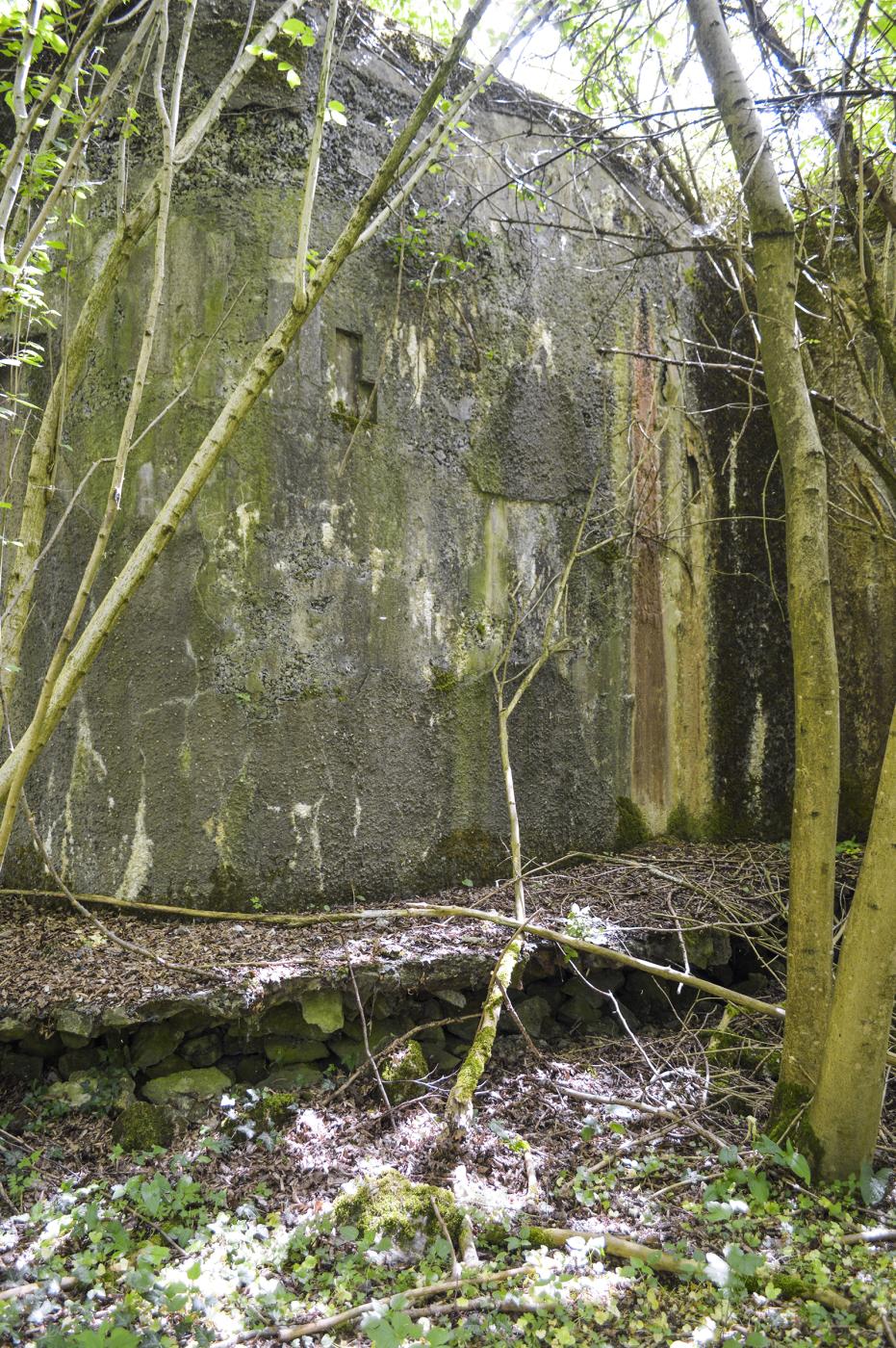 Ligne Maginot - ELESMES - (Blockhaus lourd type STG / STG-FCR - Double) - 