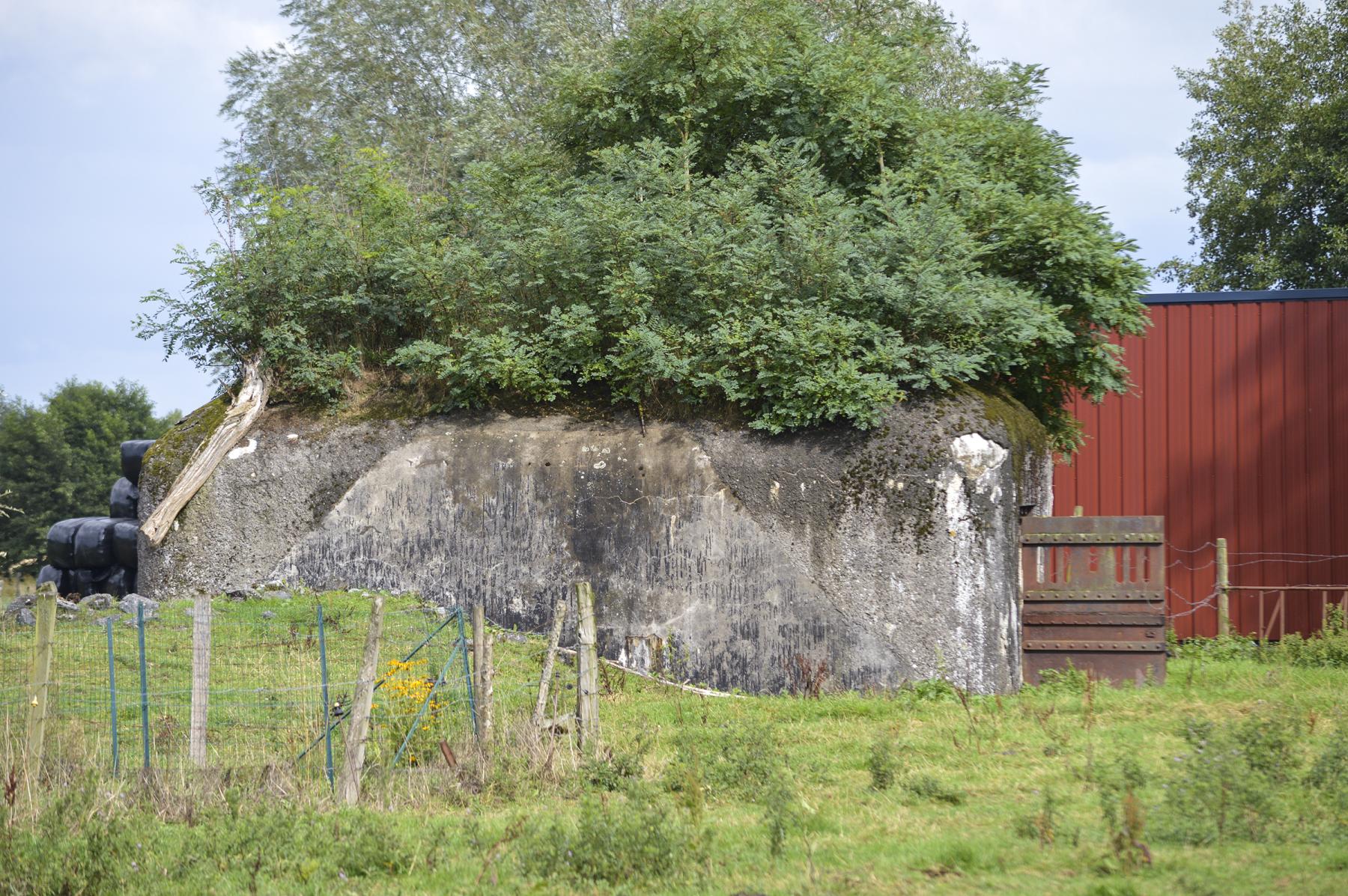 Ligne Maginot - B348 - PONT DE FRANCE - (Blockhaus pour canon) - 